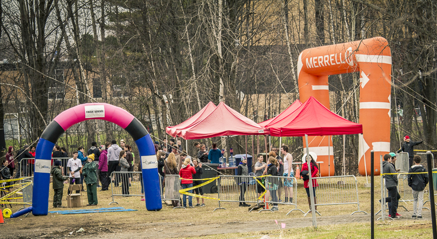 course-vikings-h2014