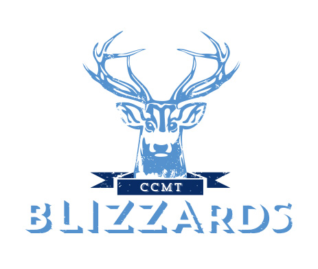 Logo des Blizzards